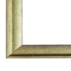 Bronze Leaf Style Polystyrene Plastic Mirror Frame