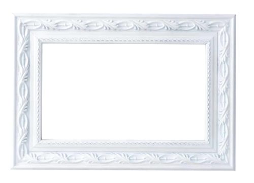 Le Flore Paintable Mirror Frame