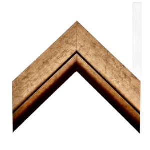 Antique Gold Mirror Frame